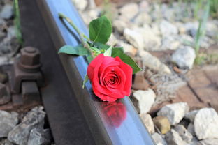 孕晚期坐长途高铁需要注意什么防血栓？